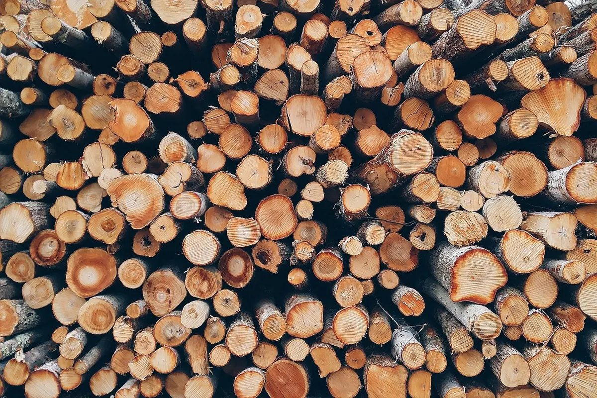 What to Expect at a Traditional Oak Framing Workshop: A Beginner's Event Guide